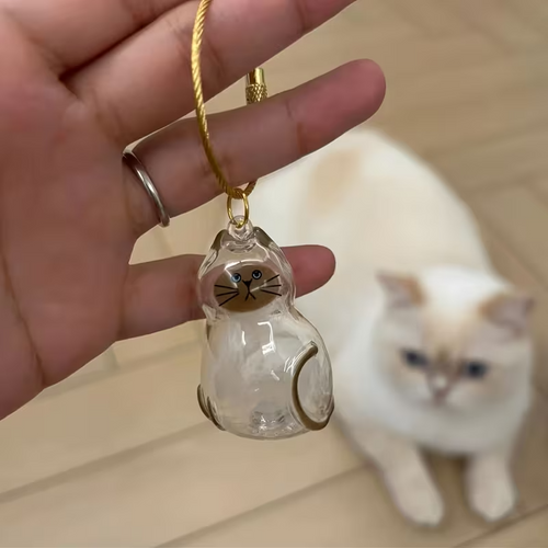 Cápsula de Recuerdos Gatunos: Tu Michi Siempre Contigo